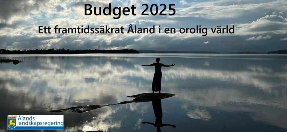 Budgetpresentation 2025