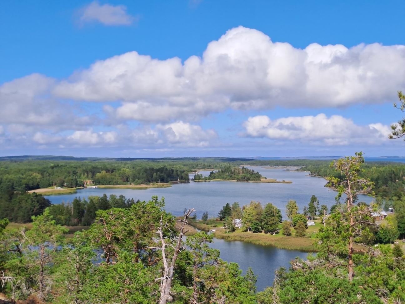 Bild över Bertby vik